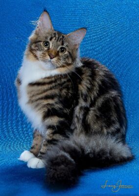 CH 19 2025 GGLEGACY ANGELEMBREE